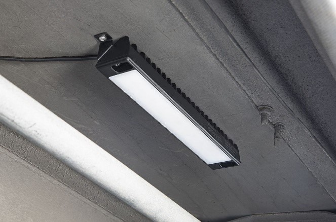 lampy