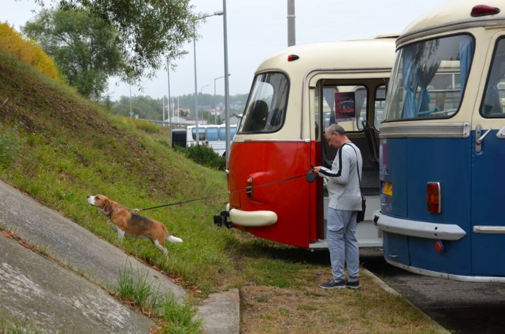 Zlot Zabytkowych Autobusów