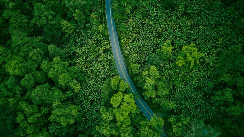 Elektryfikacja transportu