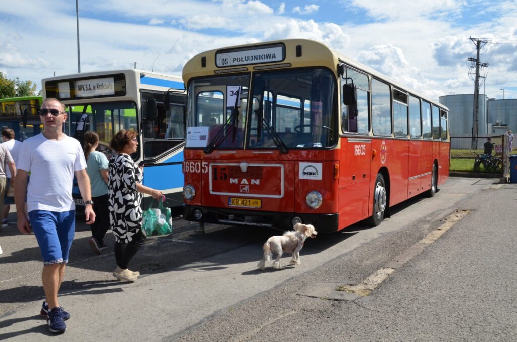 zlot autobusow